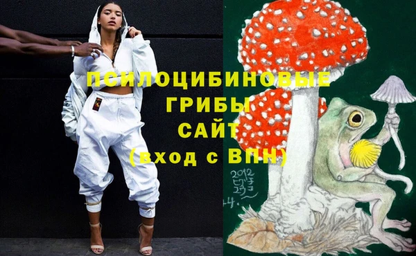 стафф Алексин