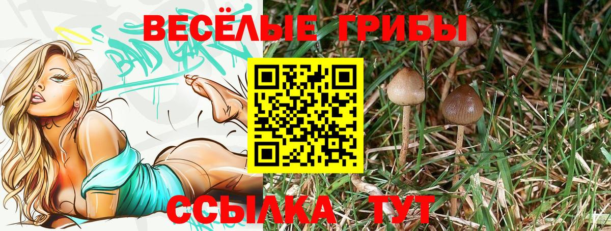 Старый Оскол  Псилоцибиновые грибы GOLDEN TEACHER  Вход с VPN  Галлюциногенные грибы мухоморы 